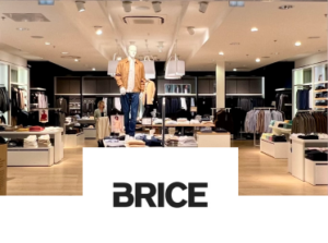 Trouvez des chaussures élégantes et des accessoires chez Brice, Cap Sud Avignon.