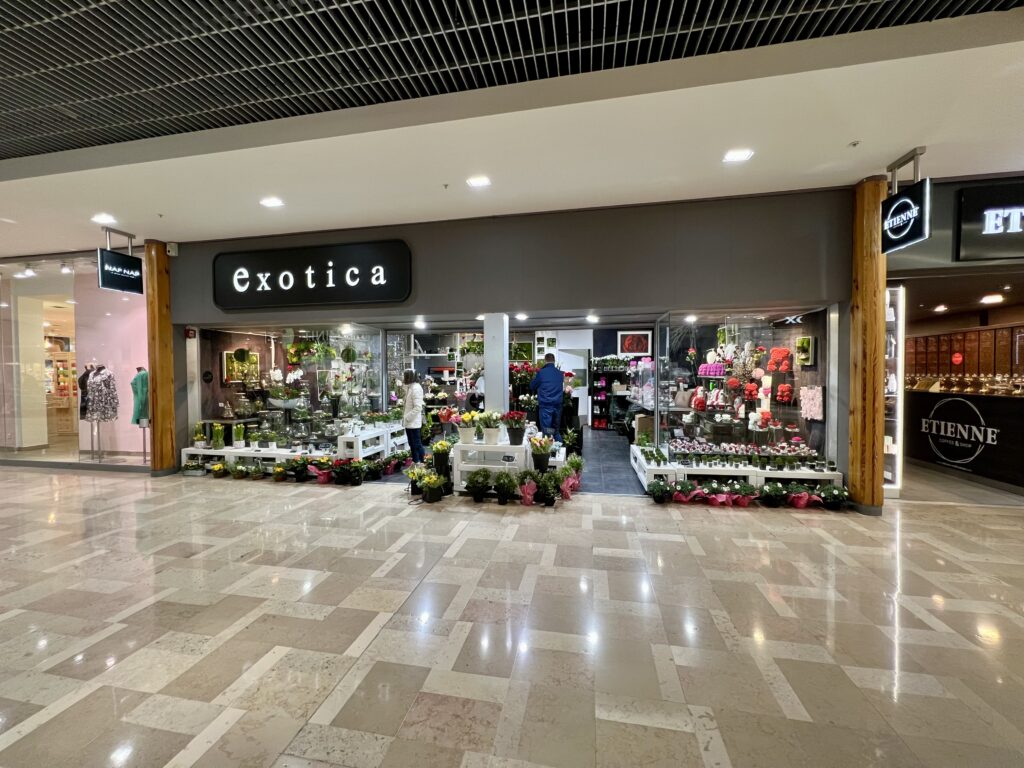 Exotica Fleurs - Un assortiment de bouquets de fleurs fraîches, de plantes et d'articles de décoration dans un espace moderne et esthétique. Livraison rapide à Avignon et dans sa périphérie.