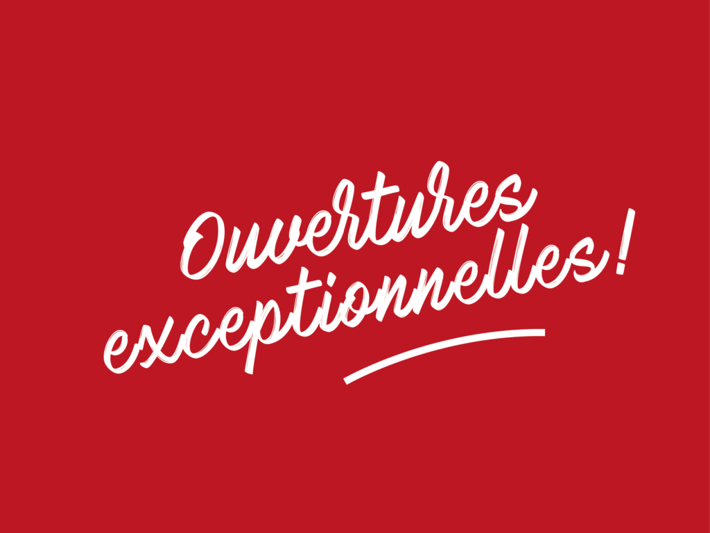 SITE_VIGENNTE_Plan de travail 1 copie 4