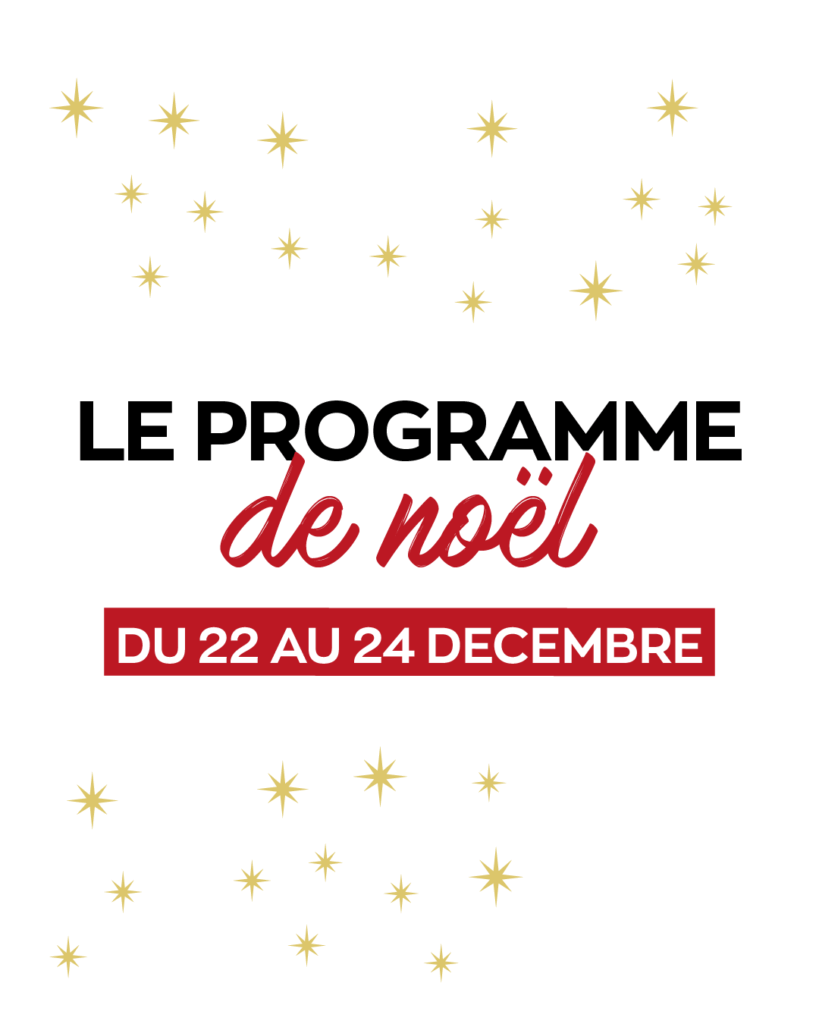 SITEPP_Plan de travail 2 copie 4